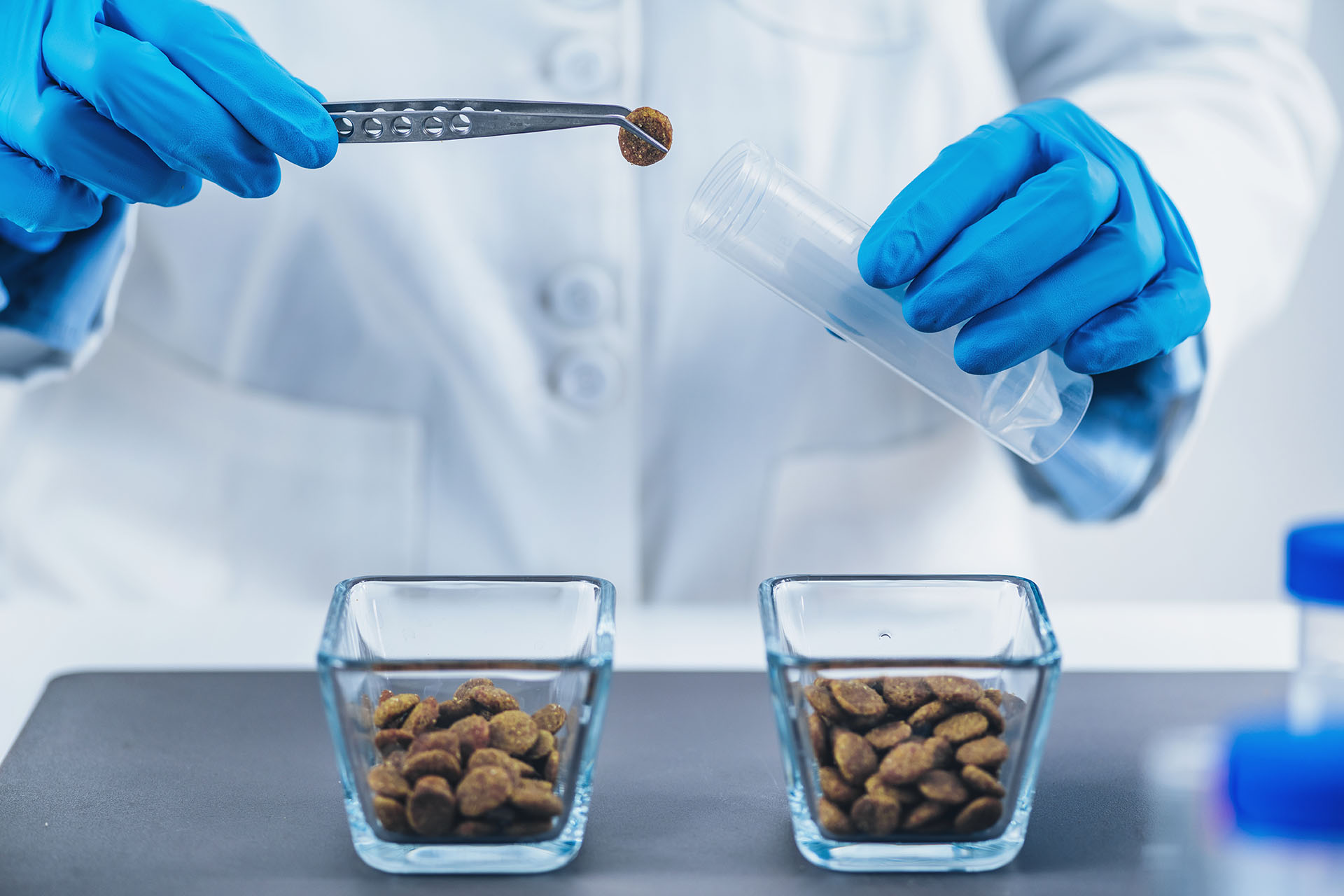 Pet Food Quality Control. Sample Preparation of Dry Dog Food for Testing in Laboratory