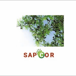 BioAromas SapCor Bio